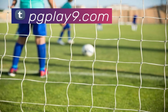 PG电子官网服务体系